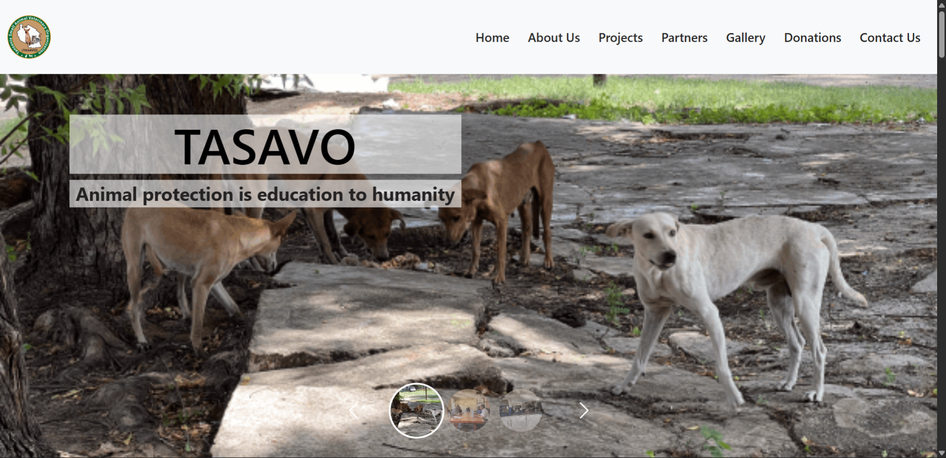 Tasavo